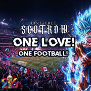 One love one football