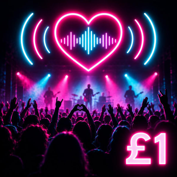 Support the stream £1